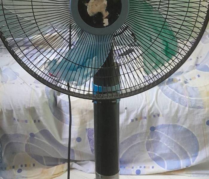 پنکه تولیپس