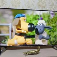 تلویزیون ۴۸ اینچ ایکس ویژن