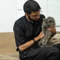 دامپزشک در محل دامپزشک سیار