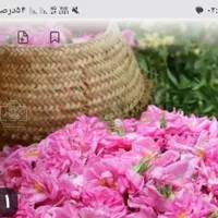 فروش عرقیات گیاهی گلاب نعنا و باقلبا گاشان