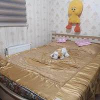 تخت بدون تشک